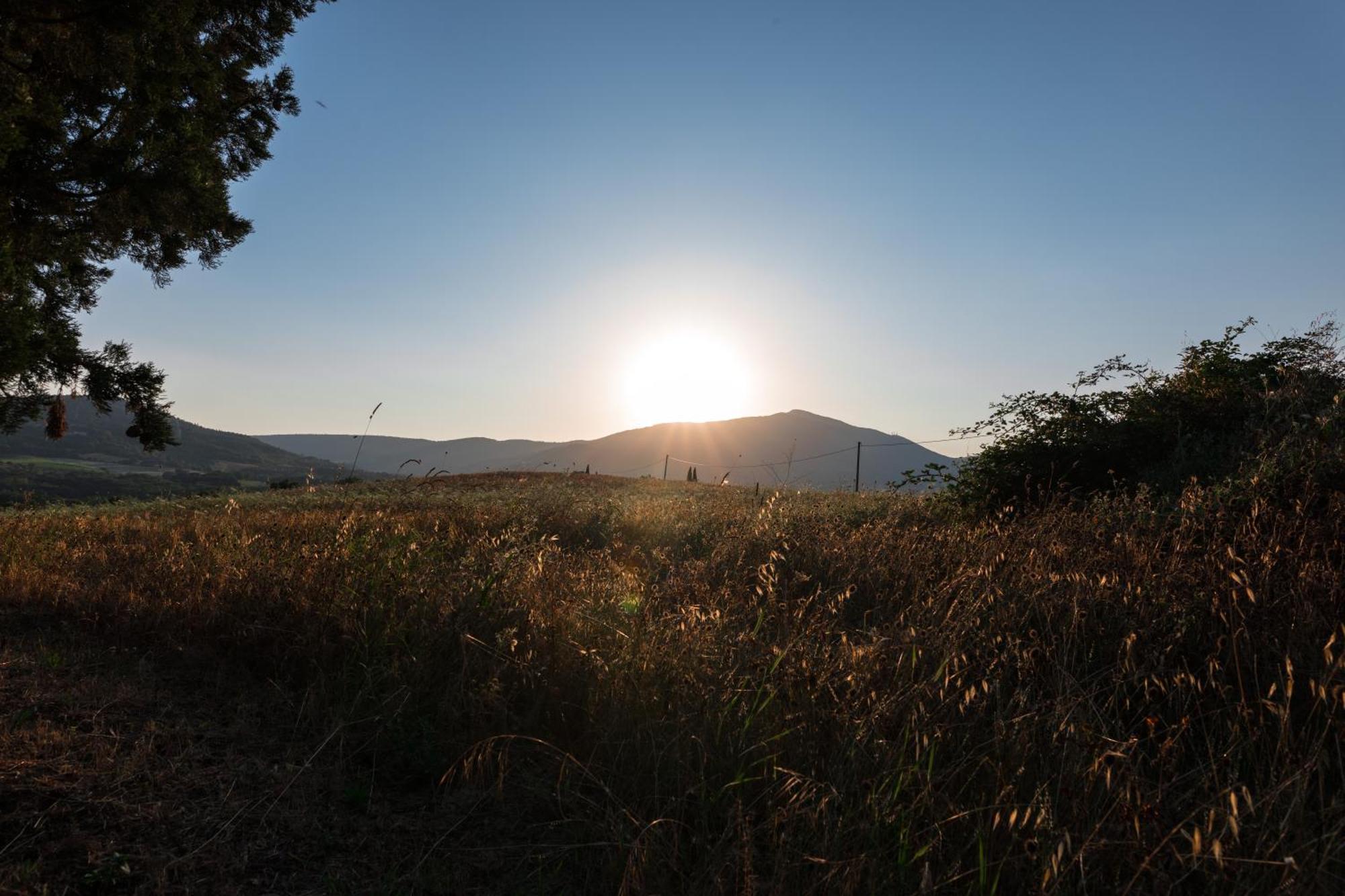 Agriturismo Spazzavento Palazzone Екстериор снимка