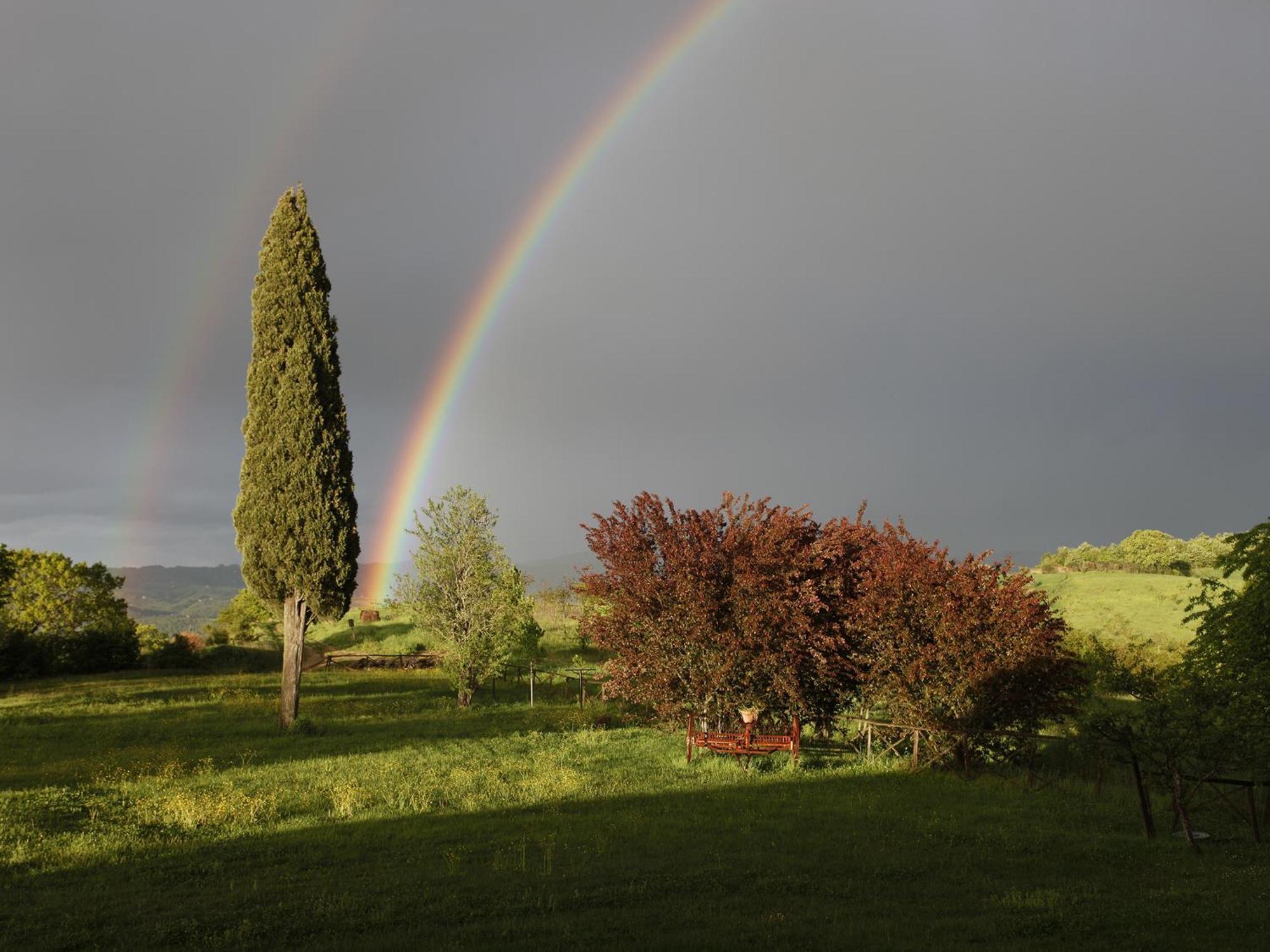 Agriturismo Spazzavento Palazzone Екстериор снимка